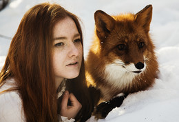 red foxes / Marusya and Tor
