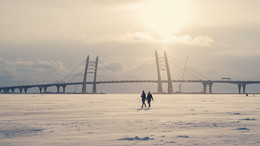 Зимняя прогулка по водам Финского залива / Февраль, 2017, Финский залив и новый вантовый мост западного скоростного диаметра