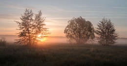 Рассвет за туманом / Летнее утро на лугу