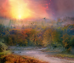 Осень в Квебек / Осень Квебек закат речка лес золото лебеди коньен святая Анна