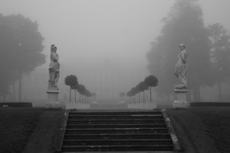 Туманное утро... / Осенее туманное утро в Екатерининском парке