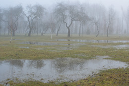 Весенний парк / Лошицкий парк в Минске всегда радует. Сегодня это большие лужи и загадочный туман. Деревья еще без листвы, и хорошо читается форма ствола и ветвей. На земле уже заметна нежная зелень приближающейся весны.

https://vk.com/mikalai_nikitsin