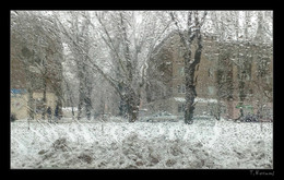 Зима из окна автомобиля / Мобилфото
