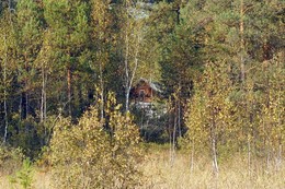 Дом в глухом лесу / Уютный дом в самом сердце Мещерского заповедника.За домом тянуться бесконечные болота