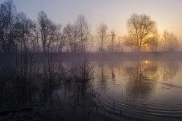 Про утро и туман / Прекрасное весеннее утро на реке Псел! Март 2017