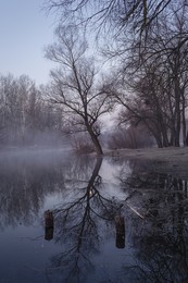 Отражение.Река Псел / Отражение в весенней реке!