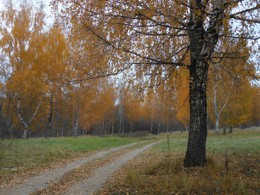 Второстепенная дорога / Осень и без дороги приходит...