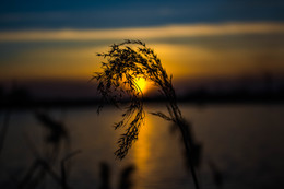 Захід сонця на озері, м. Ірпінь, Київська область. / Ірпінь, на озері