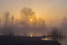Туманное утро / Солнечное туманное утро на реке в марте!