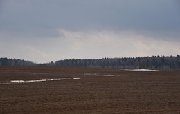 &quot;Еще в полях белеет снег ...&quot; / Март ...