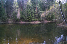 лесное озеро / весна в щелковском районе