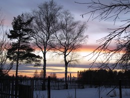 Мартовский не кот / Мартовский вечерок в деревне Красницы.