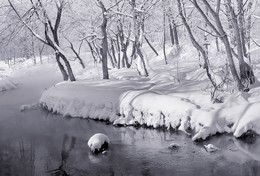 Туманная Лихоборка в феврале... / Лихоборка - маленькая речка в пределах Москвы...