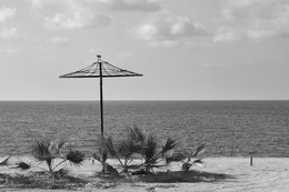 Море, пальмы, пляж / Кипр