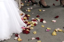 По лепесткам. / И кромки свадебного платья сметали лепестки цветов,
Законные любви объятья, среди друзей, родни, под кров!