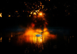 Озаренный пламенем / Фото было снято в Калининградской области, на рассвете. 
На озеро опустился небольшой туман, а из камыша показался лебедь. Когда я увидел как лучи солнца ложатся на воду, пробиваясь сквозь ветки деревьев, я сразу представил эту картину! А что получилось судить Вам!