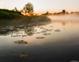 Красота природы. / Дубна, река Дубна.