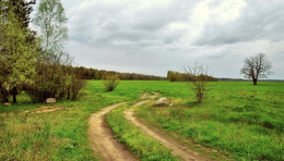 начало весны / за деревней, утро, апрель