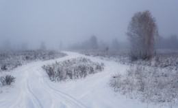 В осеннем тумане. / ***