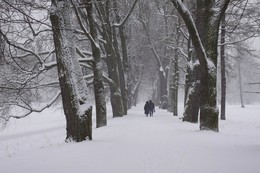 Зимняя прогулка... / Воскресная метель в старом парке