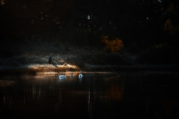 Сказочная иллюстрация / Увидел рыболова на туманном берегу озера, настроил камеру, а дальше осталось дождаться момента
