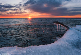 На берегу моря. / Иваньковское водохранилище.