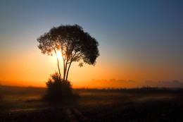 &nbsp; / Im Sonnenaufgang eine Gegenlichtaufnahme. Ort: Mecklenburg-Vorpommern