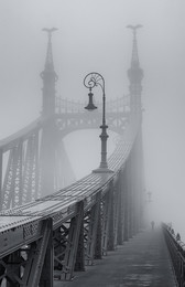 Loneliness / Мост Свободы, Будапешт