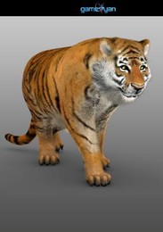 Моделирование 3D символов животных тигр / Моделирование 3D символов животных тигр.