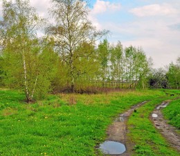 весенний дождь / деревня, весенний дождь прошел, зелень пошла, на душе хорошо