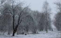 ВЕСНА / В парке