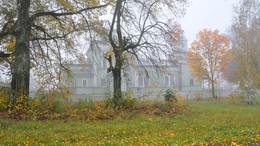 Осенний сон / осень, туман, октябрь, сельская црковь