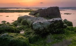 Безмолвие / 2015г.