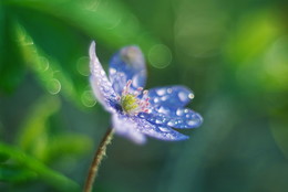 &nbsp; / Юпитер-8