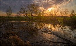 Весенние мотивы III. Май / ***