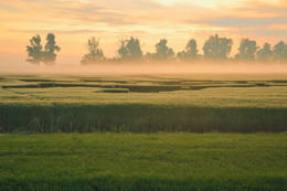 Линии рассвета / Фото было сделано на рассвете в Краснодарском крае. Кто рано встает, тот много красивого видит