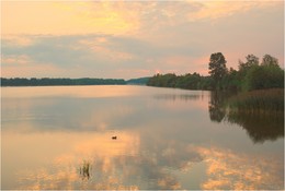 Элементарная частица / ***