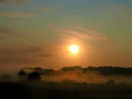 Туман / раннее августовское утро