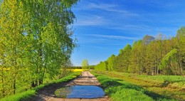 после дождя / за деревней, май, прошел дождь