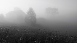 Мохнатый туман ... / Туманный рассвет в деревне ...