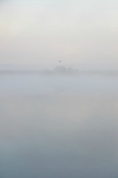 Мохнатый туман / Утро нового дня