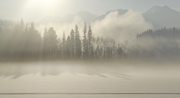 Мохнатый туман / морозное январское утро
