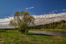 Берега реки Клязьмы / Берега реки Клязьмы