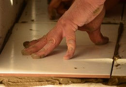 Трудовые будни / ***