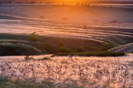 Залитая светом вечерним / ***