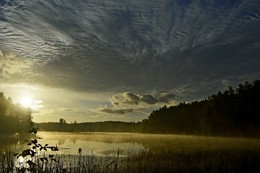 Облачным утром.... / Осиновая Роща. Август