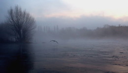&nbsp; / Früh morgens an der Ruhr im Nebel.