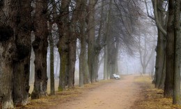 Весенний Петергоф..... / Петергоф. Апрель