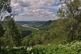 Летний день / Таштагольский район,Кузбасс,Сибирь