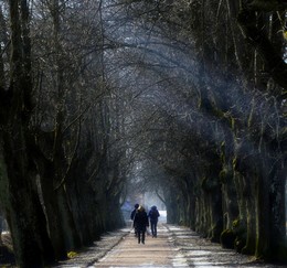 Весенний променад.... / Петергоф. Сампсониевский водовод. Март